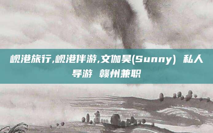 枝江岘港旅行,岘港伴游,文伽昊(Sunny) 私人导游 赣州兼职
